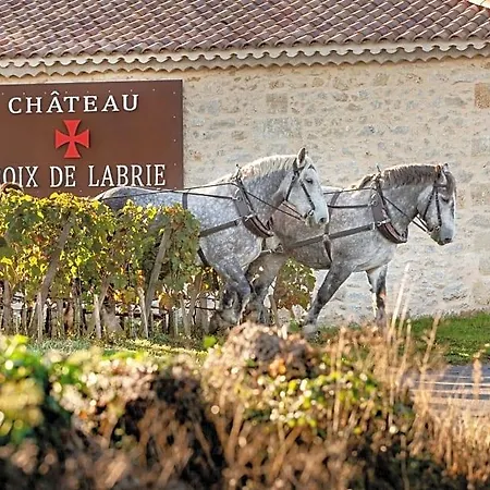 Oda ve Kahvaltı Chateau Croix De Labrie