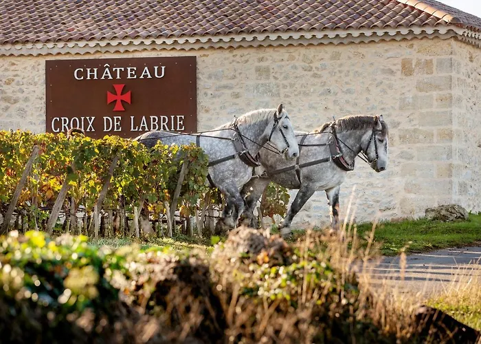 Chateau Croix De Labrie 3*