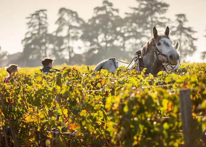 Chateau Croix De Labrie 3*